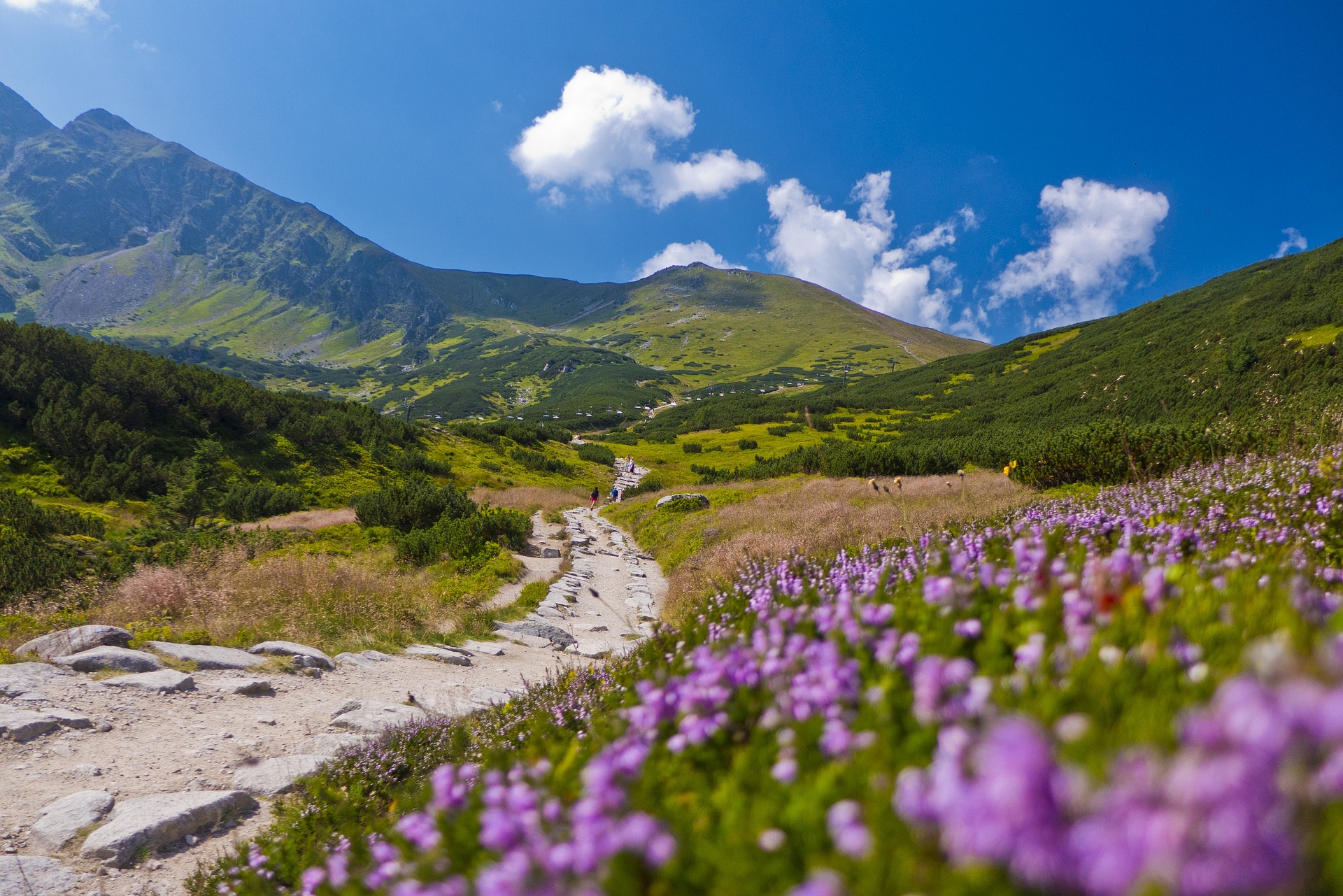 apartamenty tatry