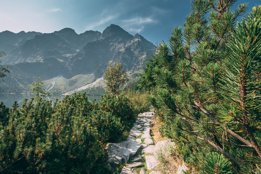 Zakopane - jak zaplanować pobyt - morskie oko
