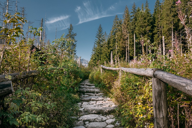 zakopane podczas covid-19