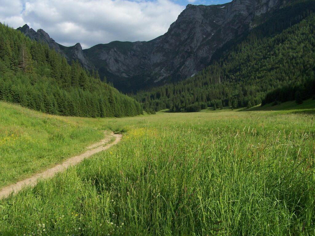 dolina małej łąki w tatrach trasy