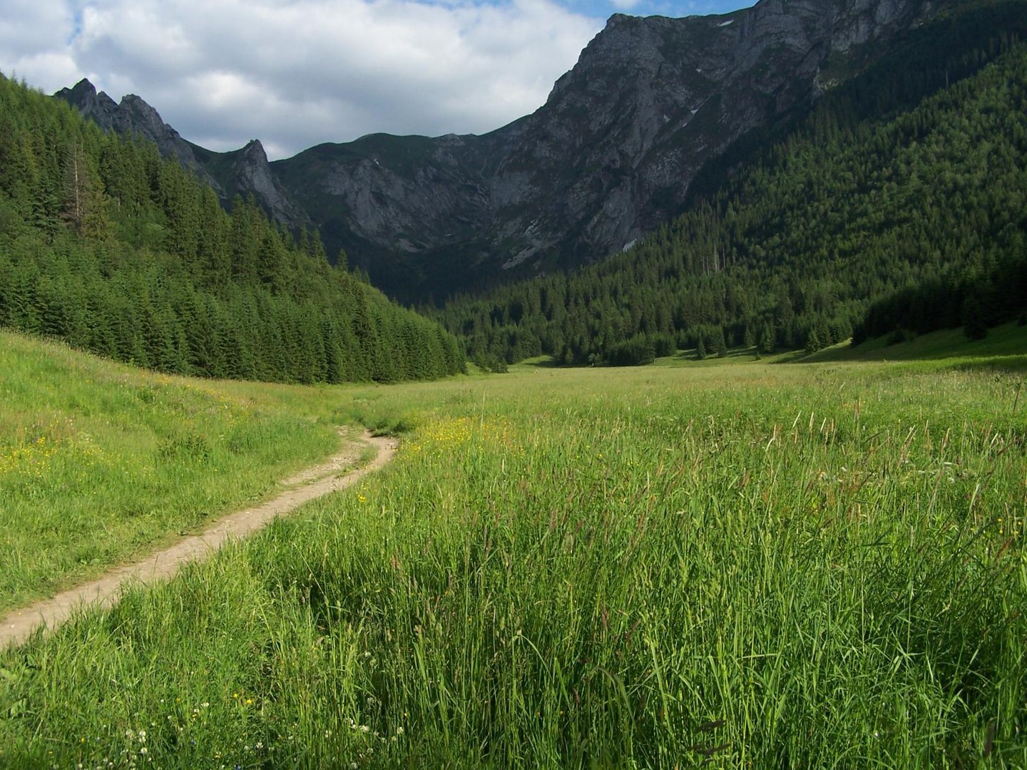 1440px-Dolina_Małej_Łąki_a2 dolina małej łąki w tatrach trasy