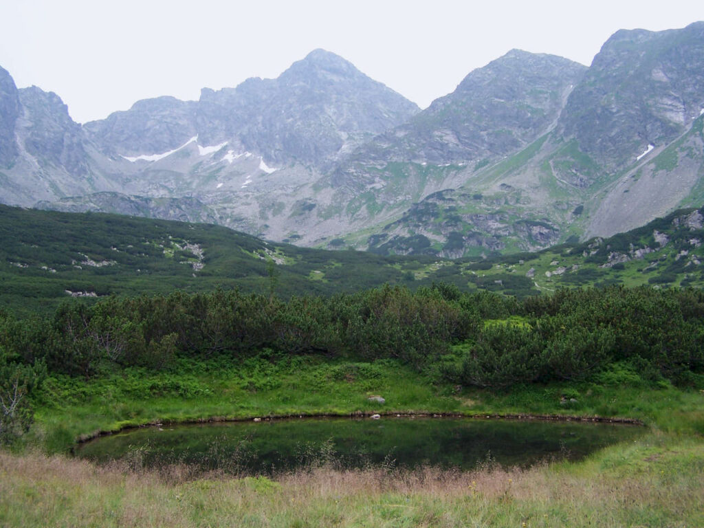 Hala Gąsienicowa. Szlak dla każdego?