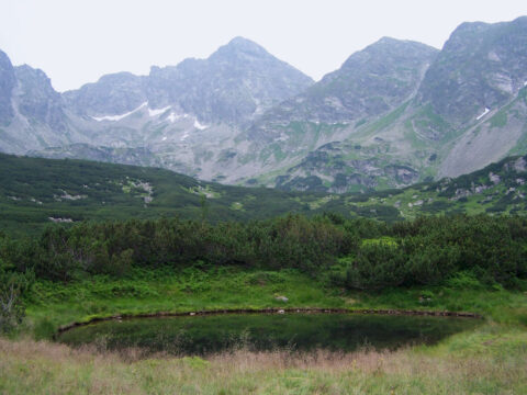 Hala Gąsienicowa. Szlak dla każdego?