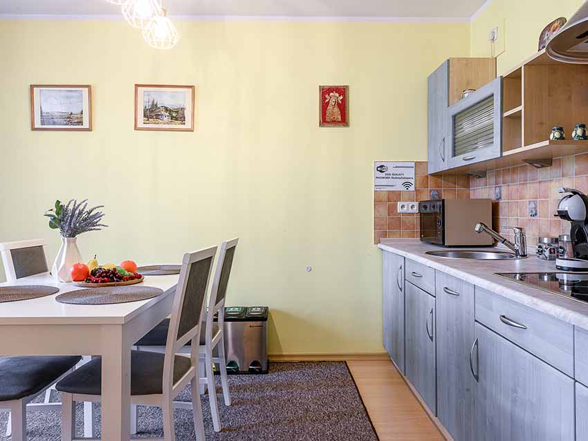 Apartamenty Zakopane - Apartament SKALISTY - Zakopane